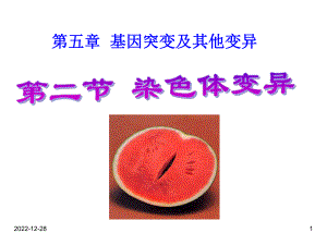 第二节-染色体变异课件.ppt