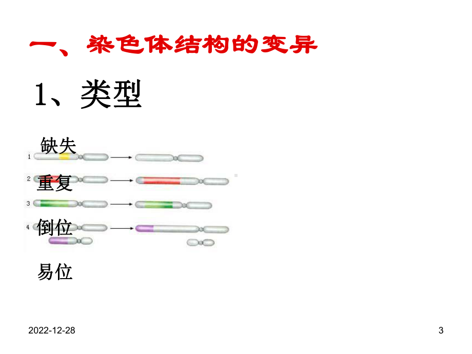 第二节-染色体变异课件.ppt_第3页