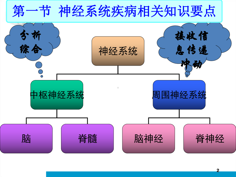 神经系统疾病患者的护理绪论整理-课件.ppt_第2页