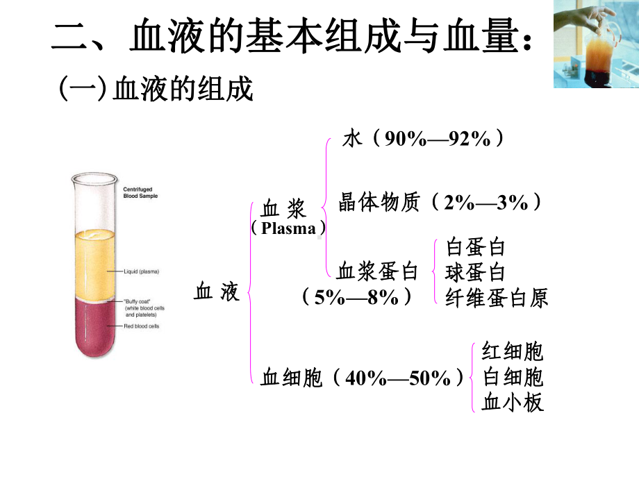 第八章-血液课件.ppt_第3页