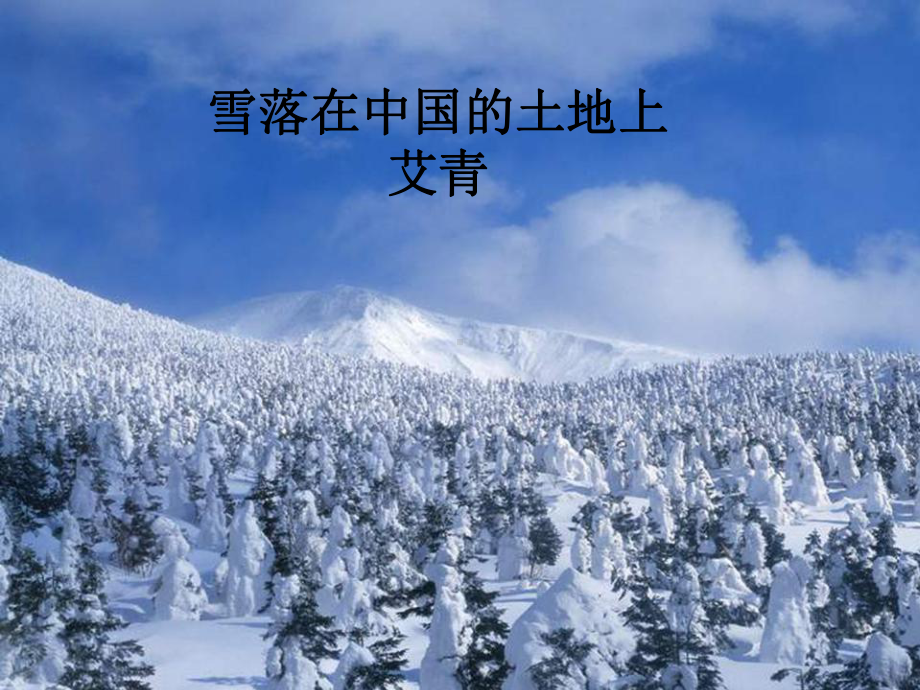 雪落在中国的土地上课件23.ppt_第2页