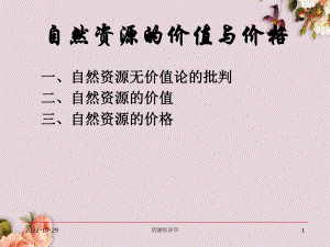 自然资源的价值与价格演讲稿(-29张)课件.ppt