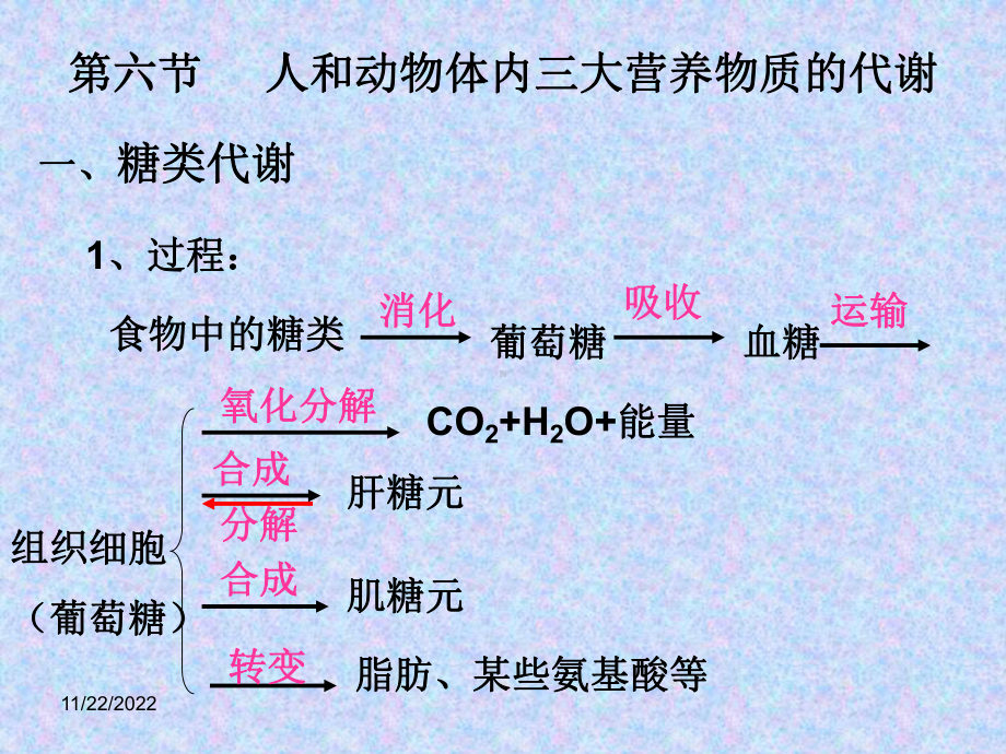 高中生物第一册三章第六节-人和动物体内三大营养物质全面版课件.ppt_第3页