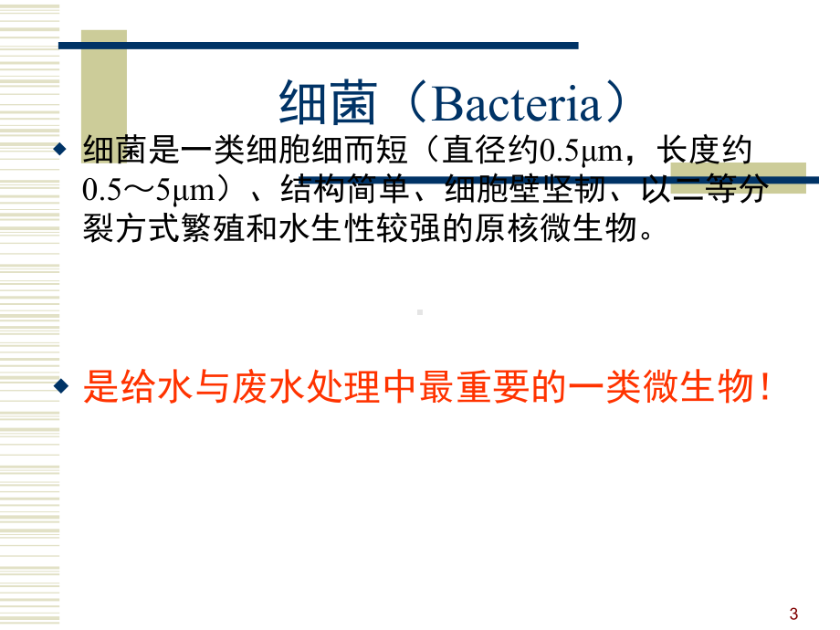 水处理细菌的形态结构课件.ppt_第3页