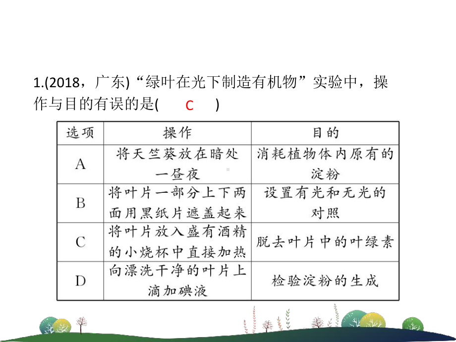 第7讲绿色植物的新陈代谢课件.ppt_第2页