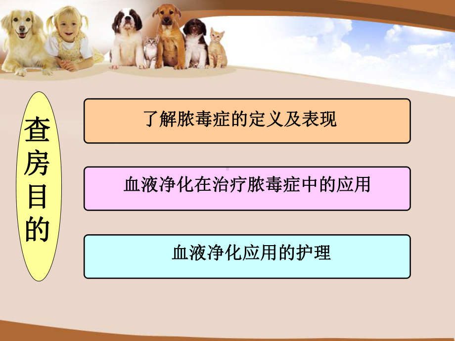 脓毒症护理查房课件.ppt_第2页