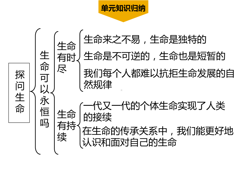 第四单元-生命的思考-单元复习课件.ppt_第2页