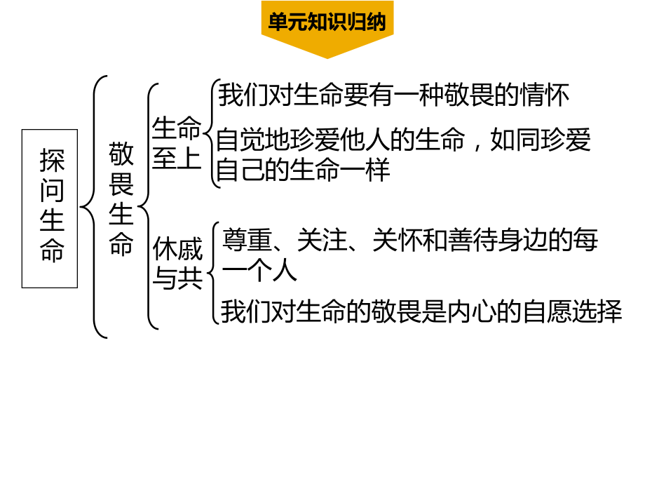 第四单元-生命的思考-单元复习课件.ppt_第3页