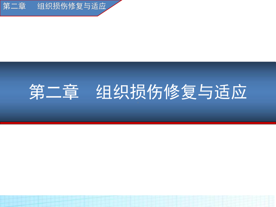 疾病第二章组织适应损伤与修复课件.ppt_第1页