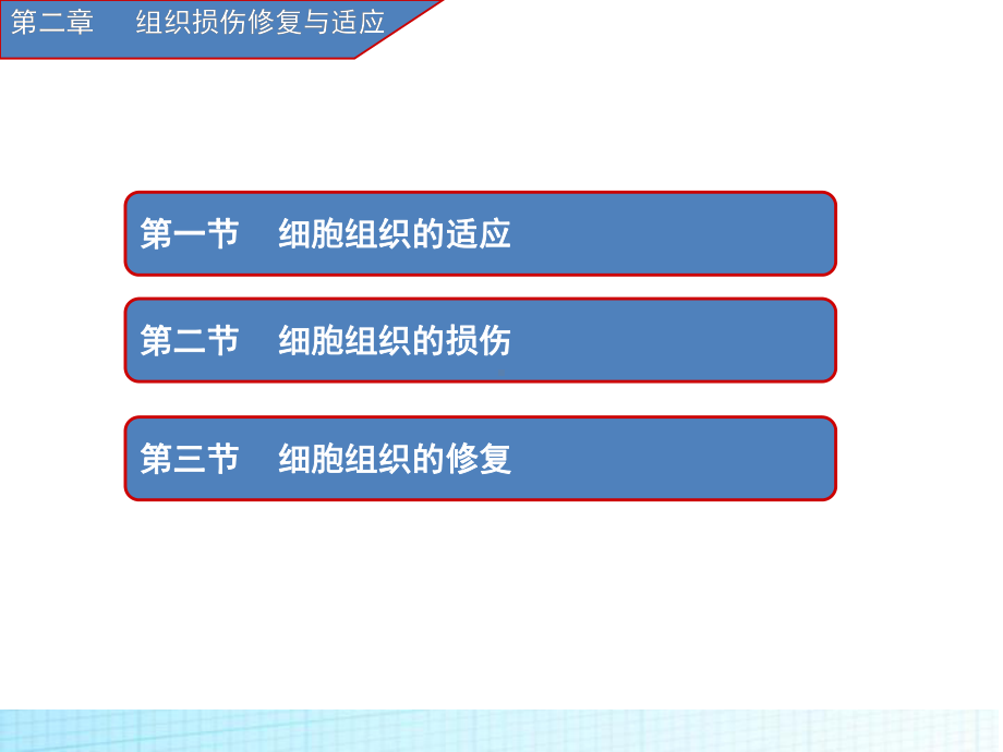 疾病第二章组织适应损伤与修复课件.ppt_第2页