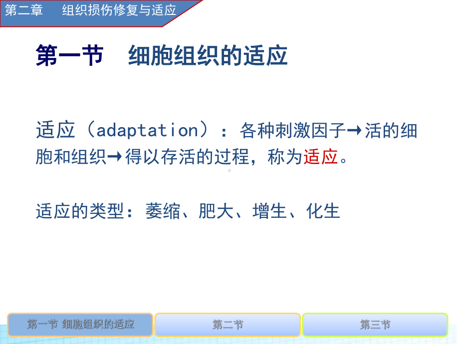疾病第二章组织适应损伤与修复课件.ppt_第3页