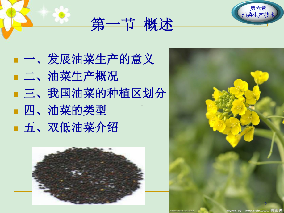 油菜生产技术培训课件(-83张).ppt_第2页