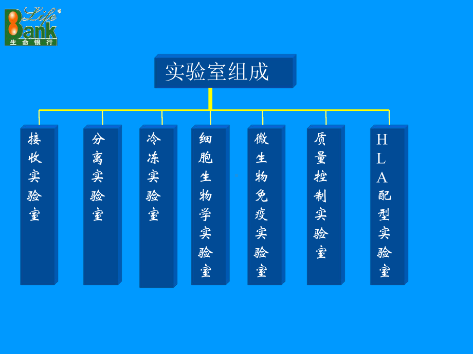 脐带血造血干细胞知识的讲座课件.ppt_第3页