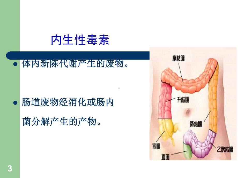 益生菌与健康课件.ppt_第3页