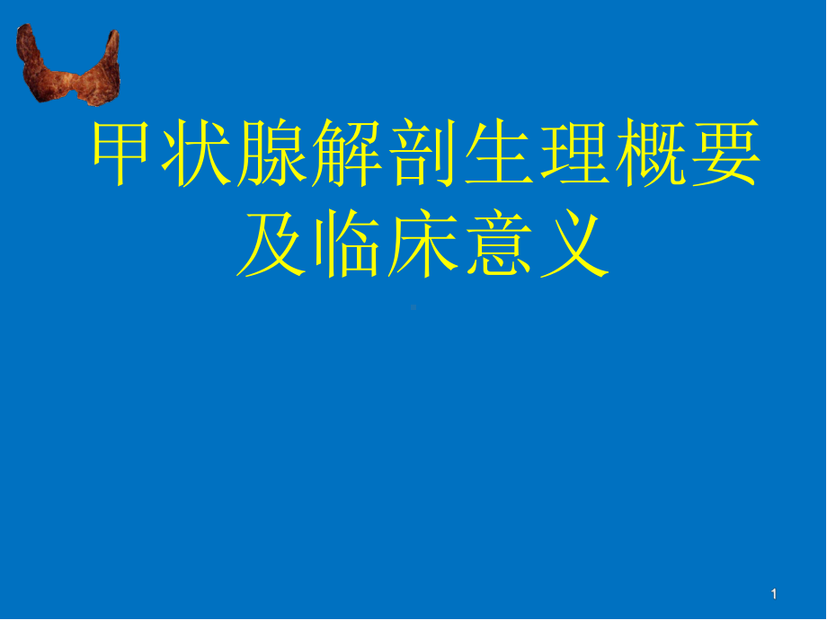 甲状腺基本解剖医学课件.ppt_第1页