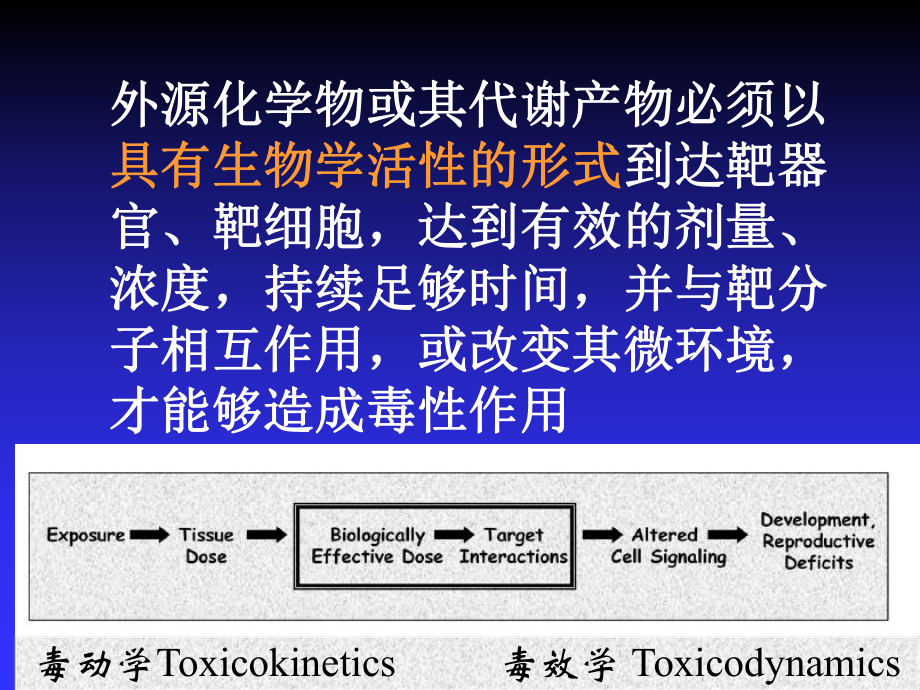 毒作用的影响因素课件.ppt_第2页