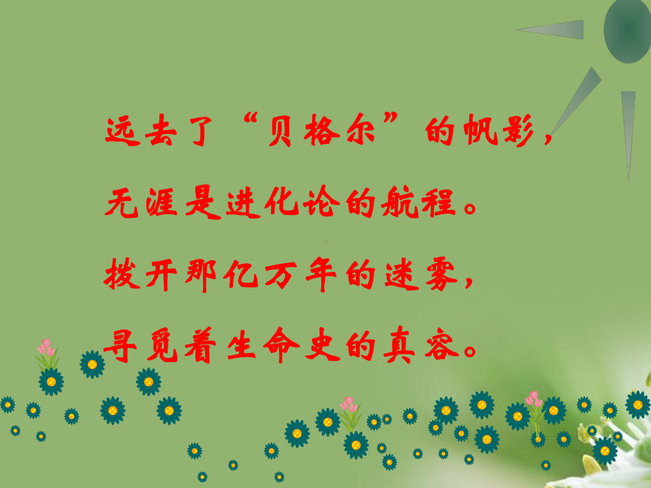 现代生物进化理论的由来38-人教课标版精选教学课件.ppt_第1页