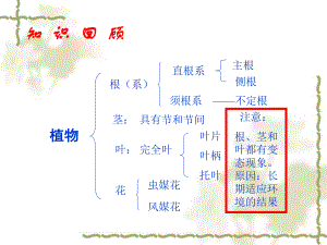 第三章第三节--藻类植物课件--我.ppt