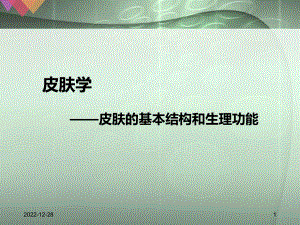 皮肤结构与功能(课堂)课件.ppt