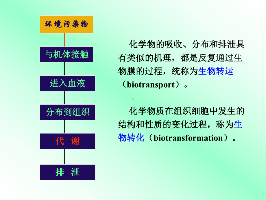 环境化学物和生物转运和生物转化课件.ppt_第2页