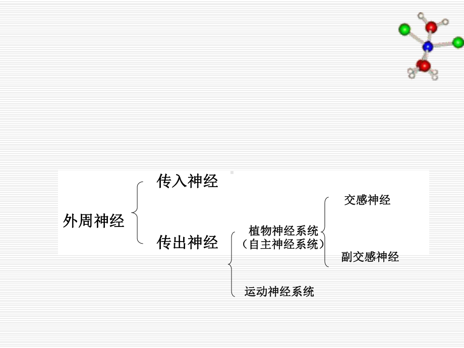 药物化学第七章-作用于肾上腺素能受体的药物课件.ppt_第3页