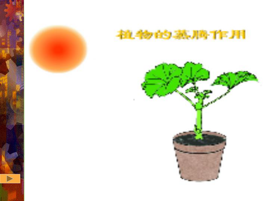 绿色植物参与生物圈的水循环课件5-人教版.ppt_第2页