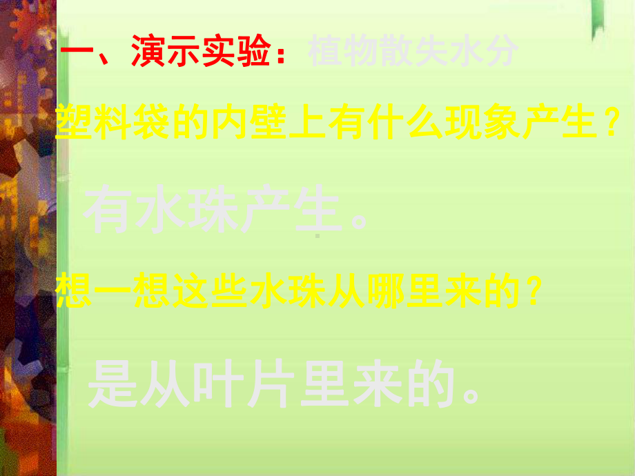 绿色植物参与生物圈的水循环课件5-人教版.ppt_第3页