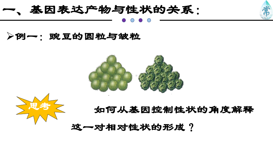 第二节基因表达与性状的关系优质公开课课件.pptx_第2页