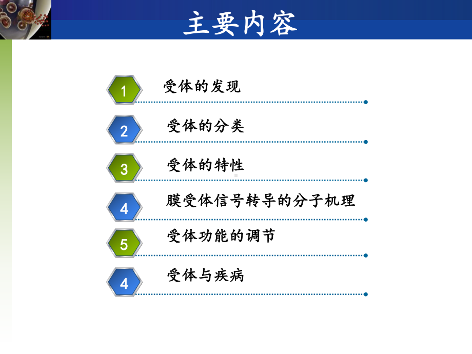 神经生物学-受体课件.ppt_第1页