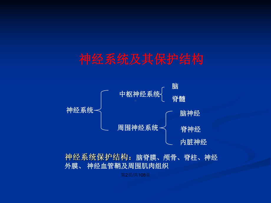 脊髓解剖与损伤教案课件.pptx_第3页