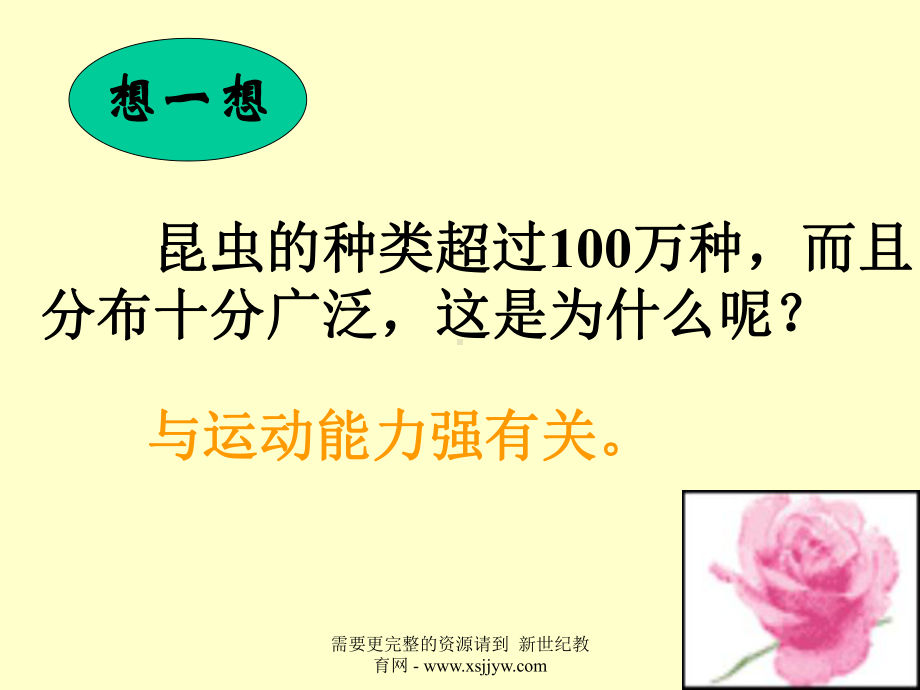 空中飞行的动物(昆虫)课件.ppt_第2页