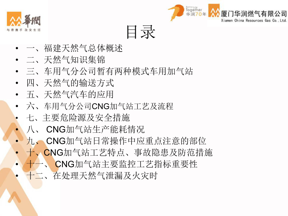 燃气分公司一级培训教育模板课件.ppt_第2页