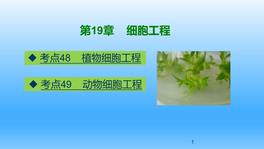 第19章-细胞工程-新高考生物复习课件.pptx_第1页