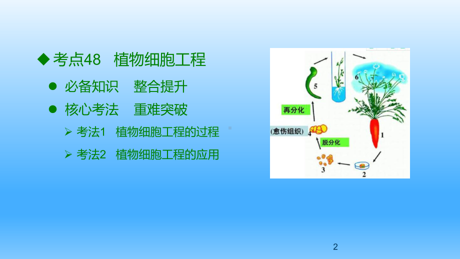 第19章-细胞工程-新高考生物复习课件.pptx_第2页