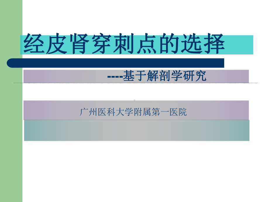 经皮肾穿刺点的选择课件.ppt_第1页