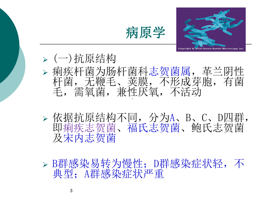 细菌性痢疾课件-2.ppt_第3页