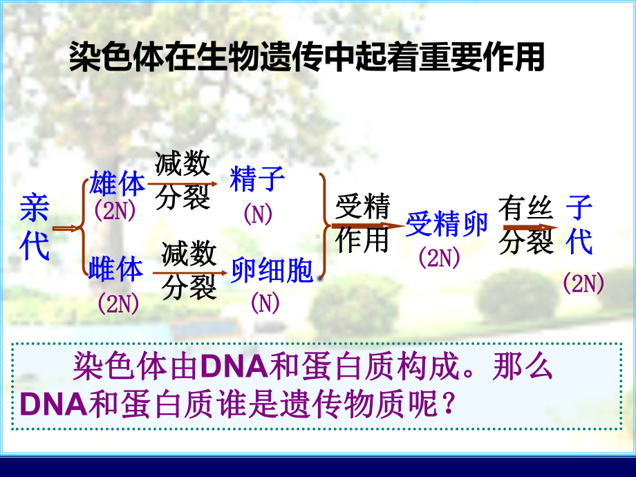 第三章第一节DNA是主要的遗传物质用课件.ppt_第2页