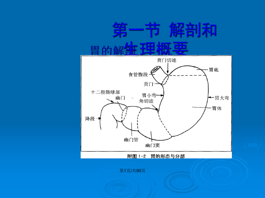 胃十二指肠疾病病人的护理2教案课件.pptx_第2页