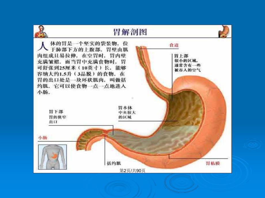 胃十二指肠疾病病人的护理2教案课件.pptx_第3页