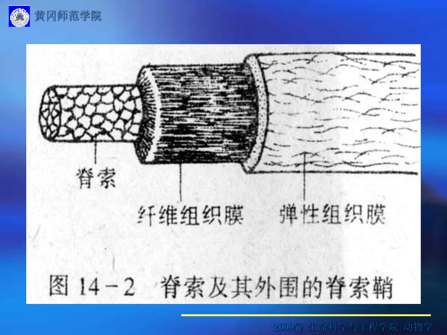 网络课件教学设计的思考与实践.ppt_第3页