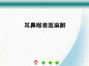 耳鼻喉科表面麻醉医学课件.ppt