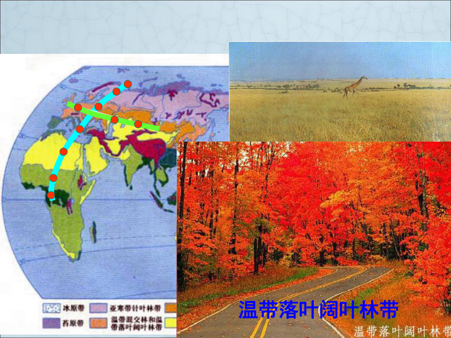 自然地理环境的差异性25-湘教版课件.ppt_第1页