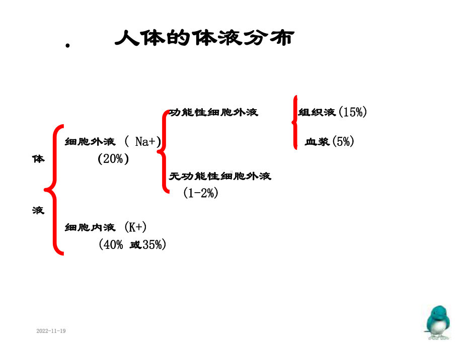 水电解质酸碱平衡失调名师制作优质教学课件.ppt_第2页