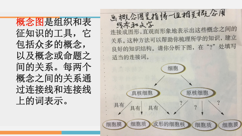 概念图策略-周再新课件.ppt_第3页