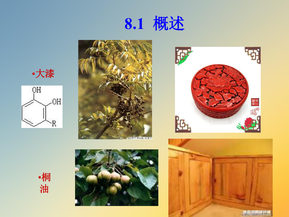 精细化工工艺学第8章课件.ppt_第3页