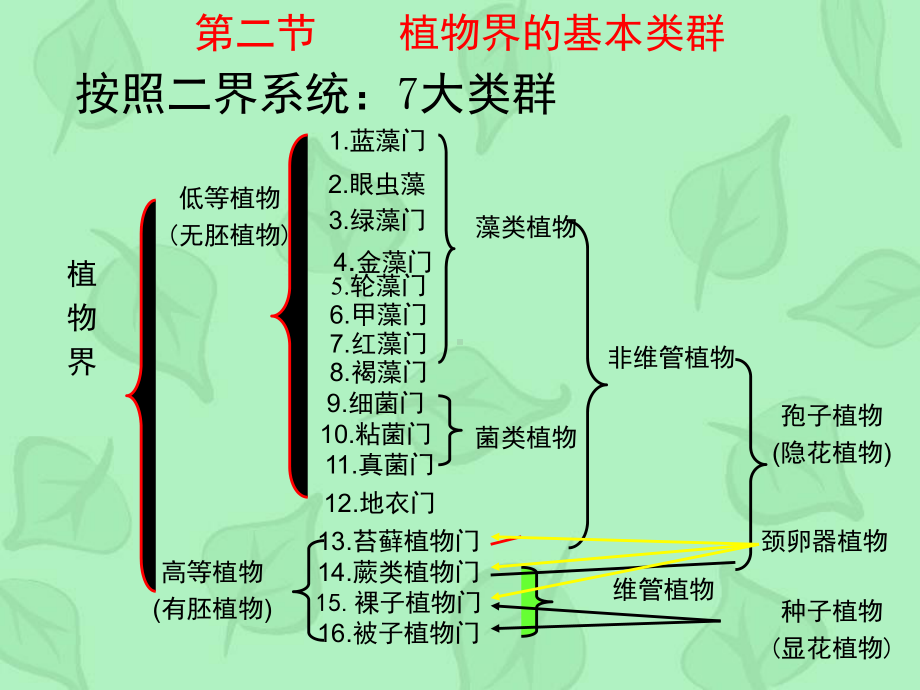 第十章植物界的基本类群高等植物课件.ppt_第1页