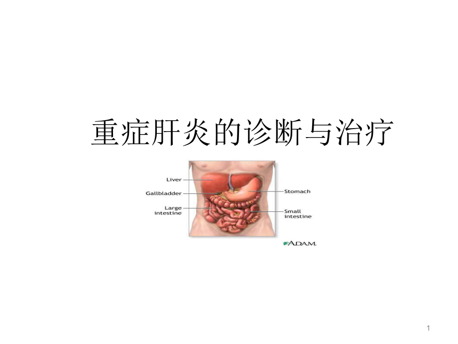 重症肝炎的诊断-课件.ppt_第1页