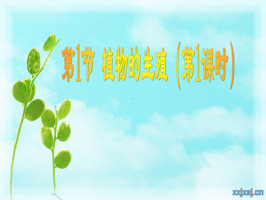 植物的生殖-课件.ppt_第1页