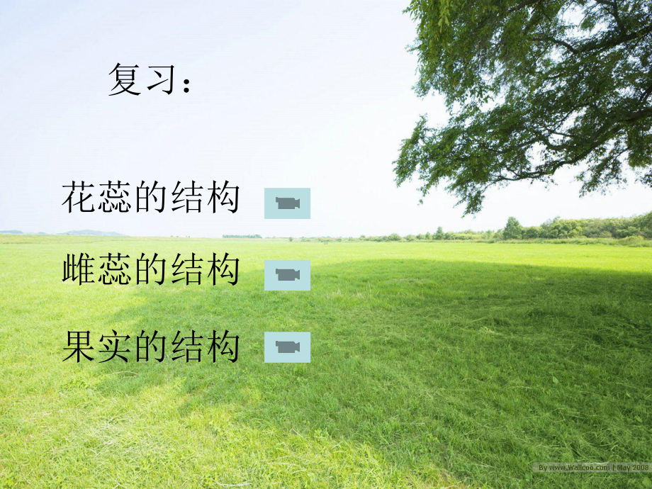 植物的生殖-课件.ppt_第2页