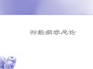 神经病学课件-2.ppt